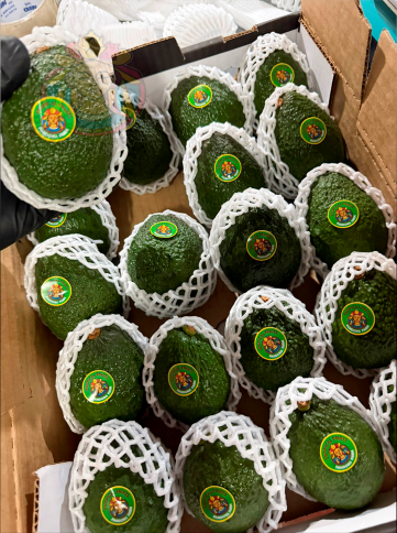 AguacateCajaN