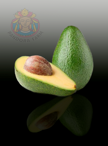 AguacateN